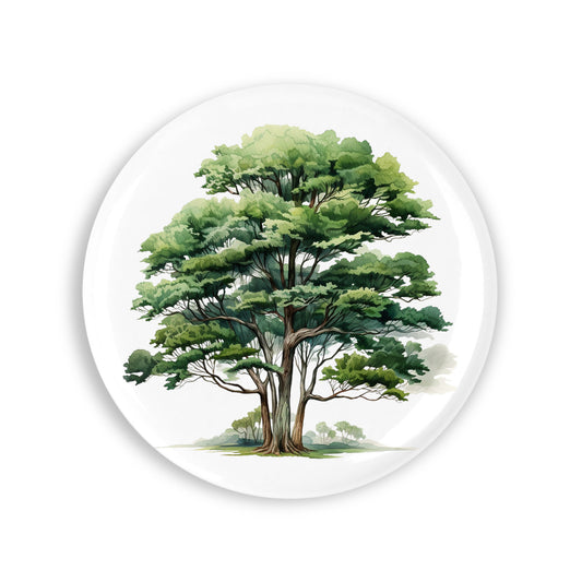 75e97235bde17893ec8a6003f6d6fa88