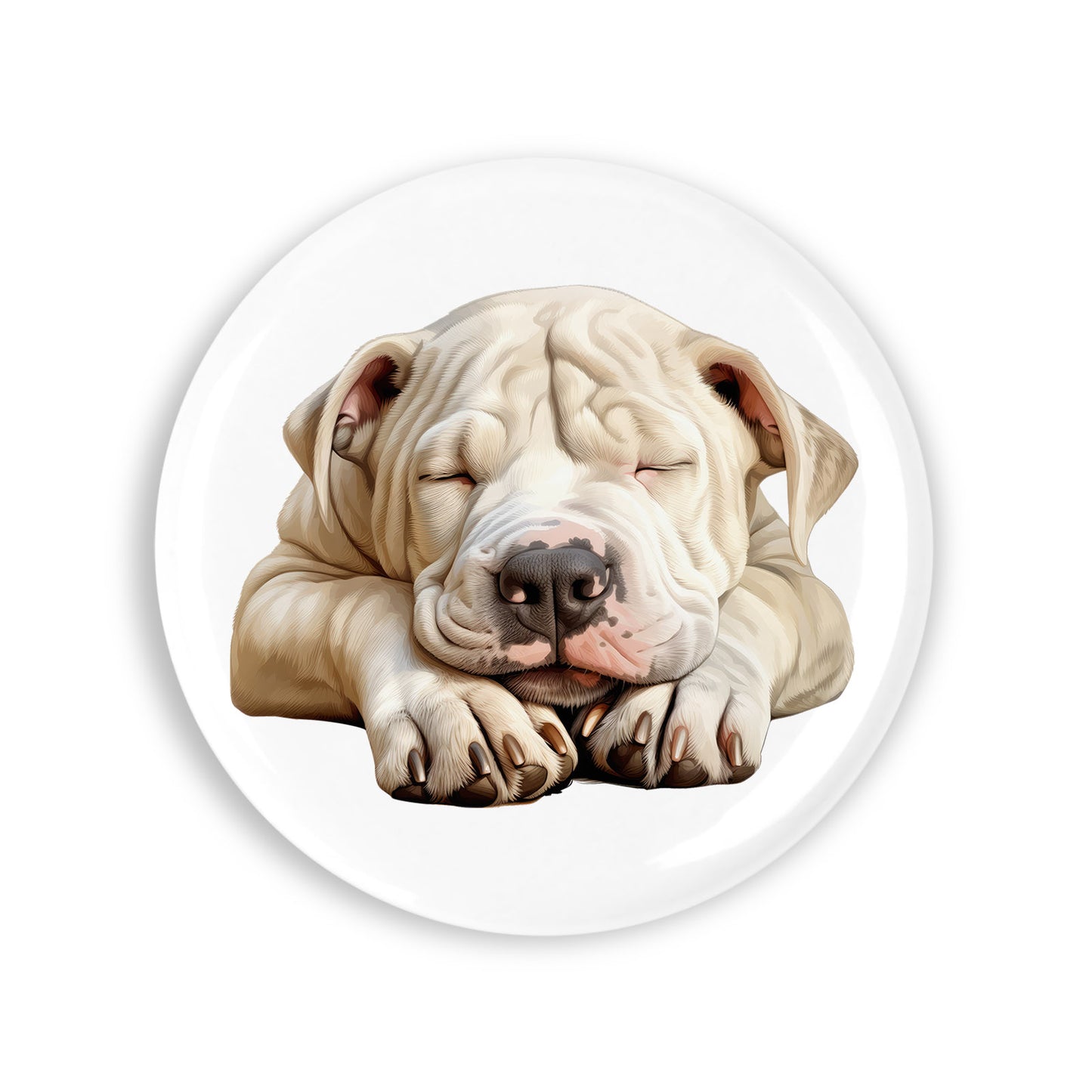 80a1c4f0040e684b3455b6f950a94b2b