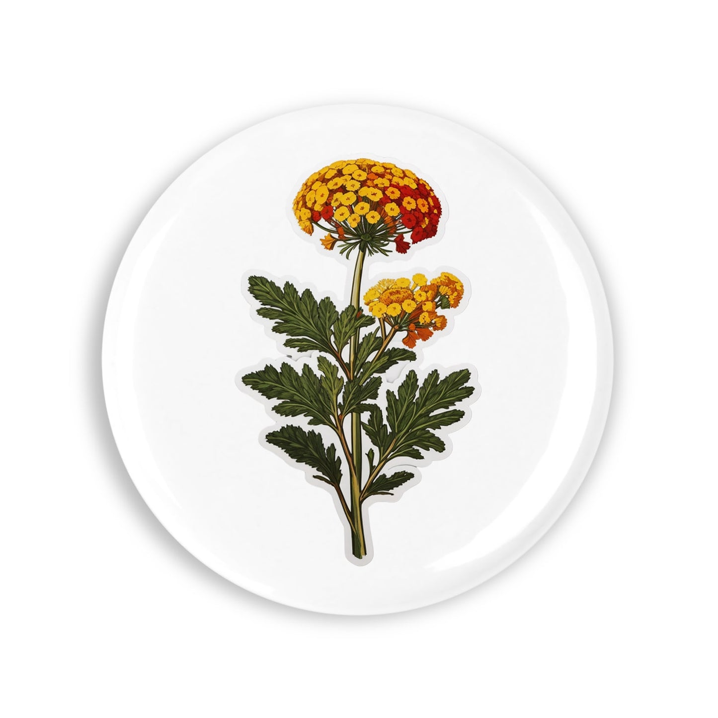 671247ae6502c75e46591bc1d695d532