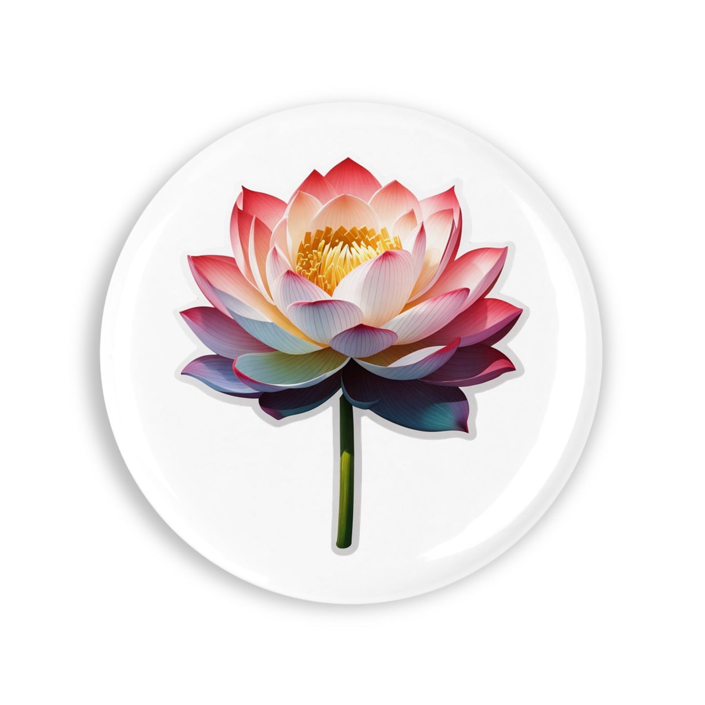 96dc5767a42c9702a20530d8e5d66cad