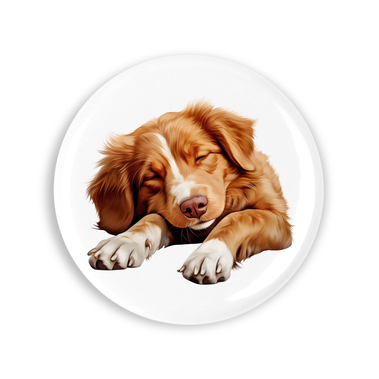 8ef0fce9dfd2347fe87eb5854cfafb2b