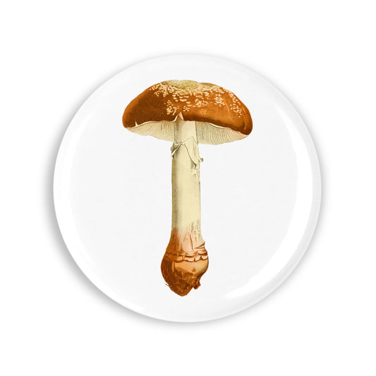 4951ec4a9a578f4bb53a11766881308c