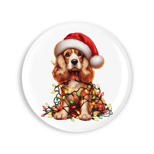 4949ac3fad7eb6e92d6efaa810c04613