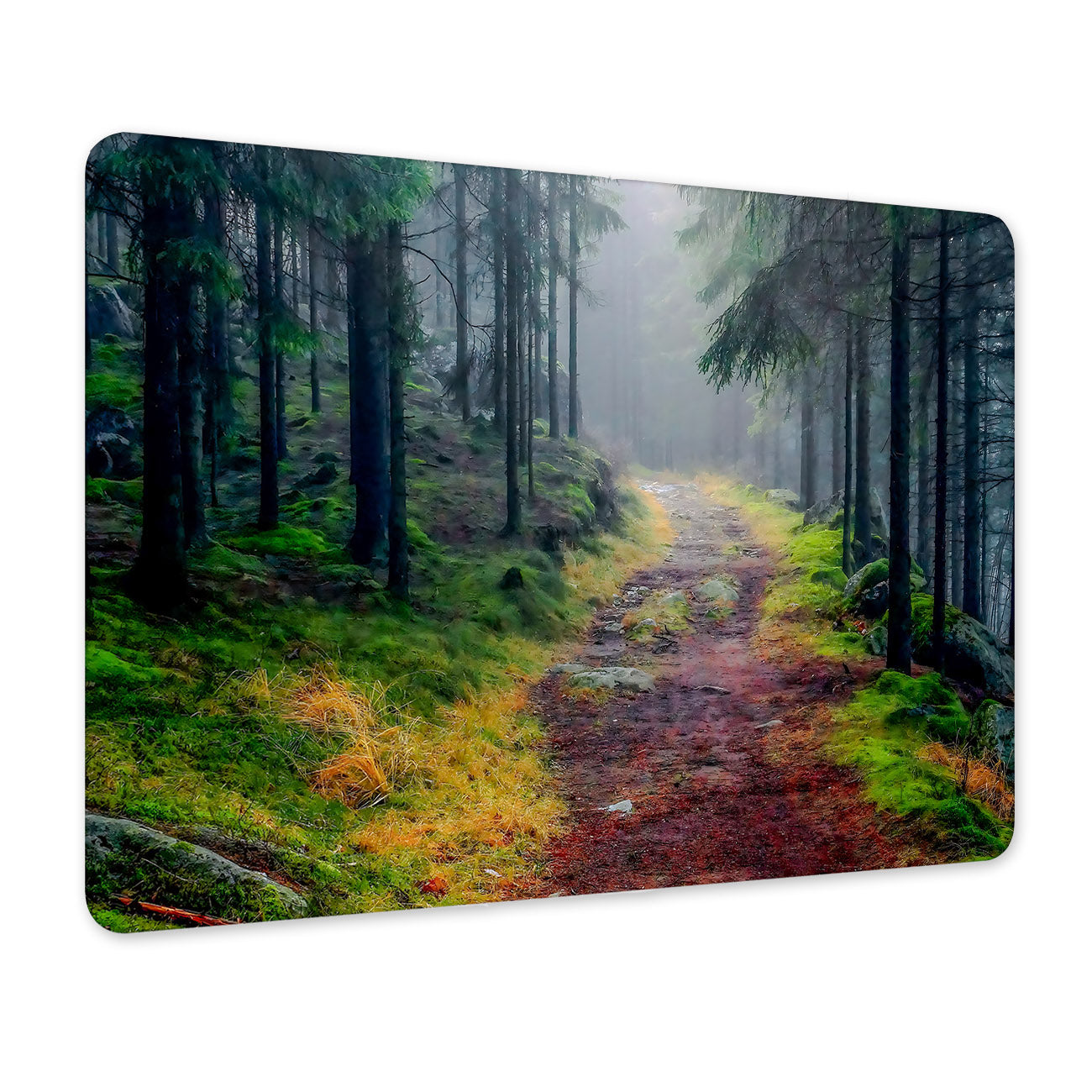 f37d11de50a31f48ecea2dde62bbc1d0