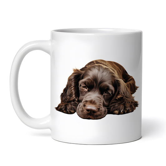 893d0200af75346a686198b003a4408c