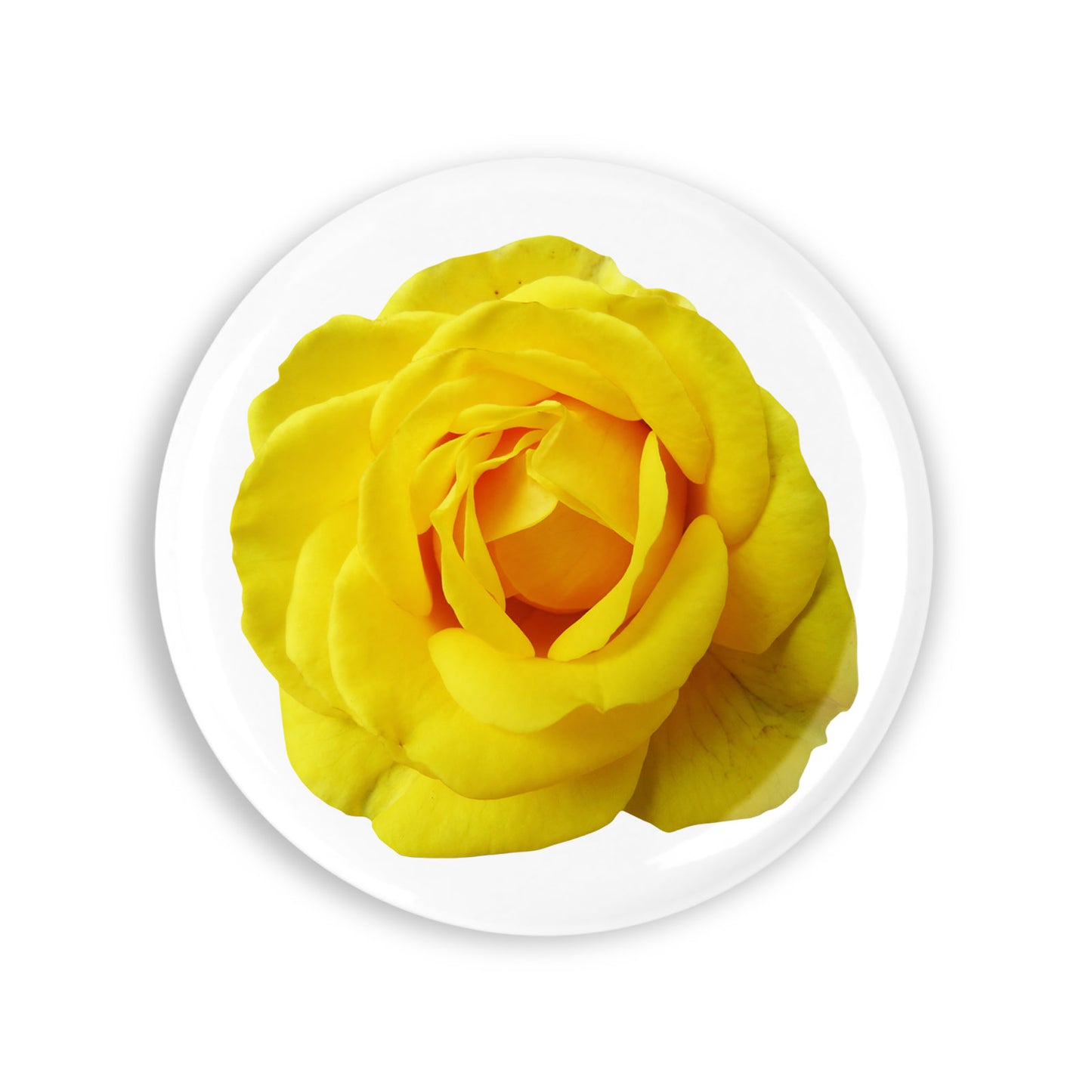 49fd1253172ae7709244f2f54dc99b3d