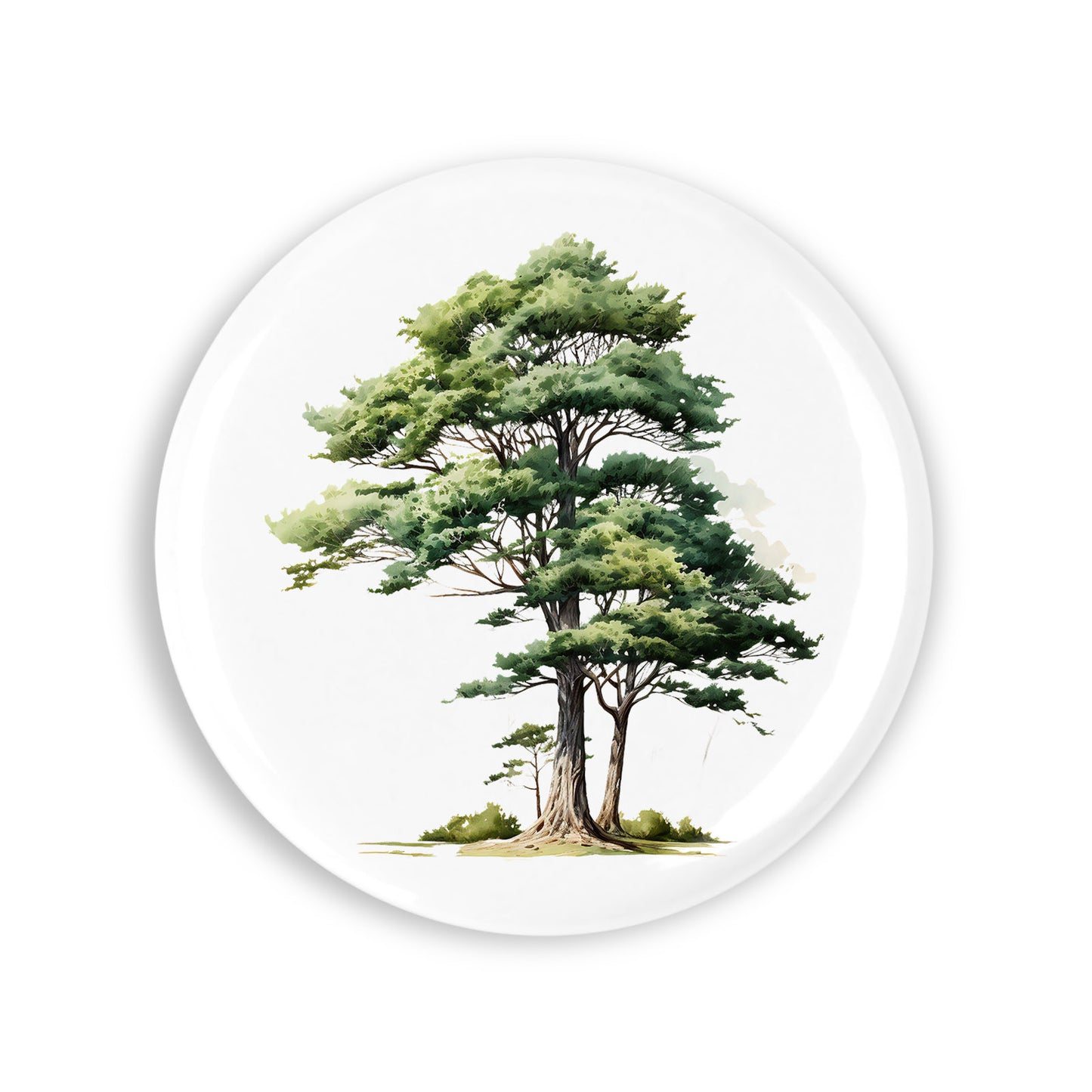 a88d85d5fc344b9dfaa48aa263e63fe7