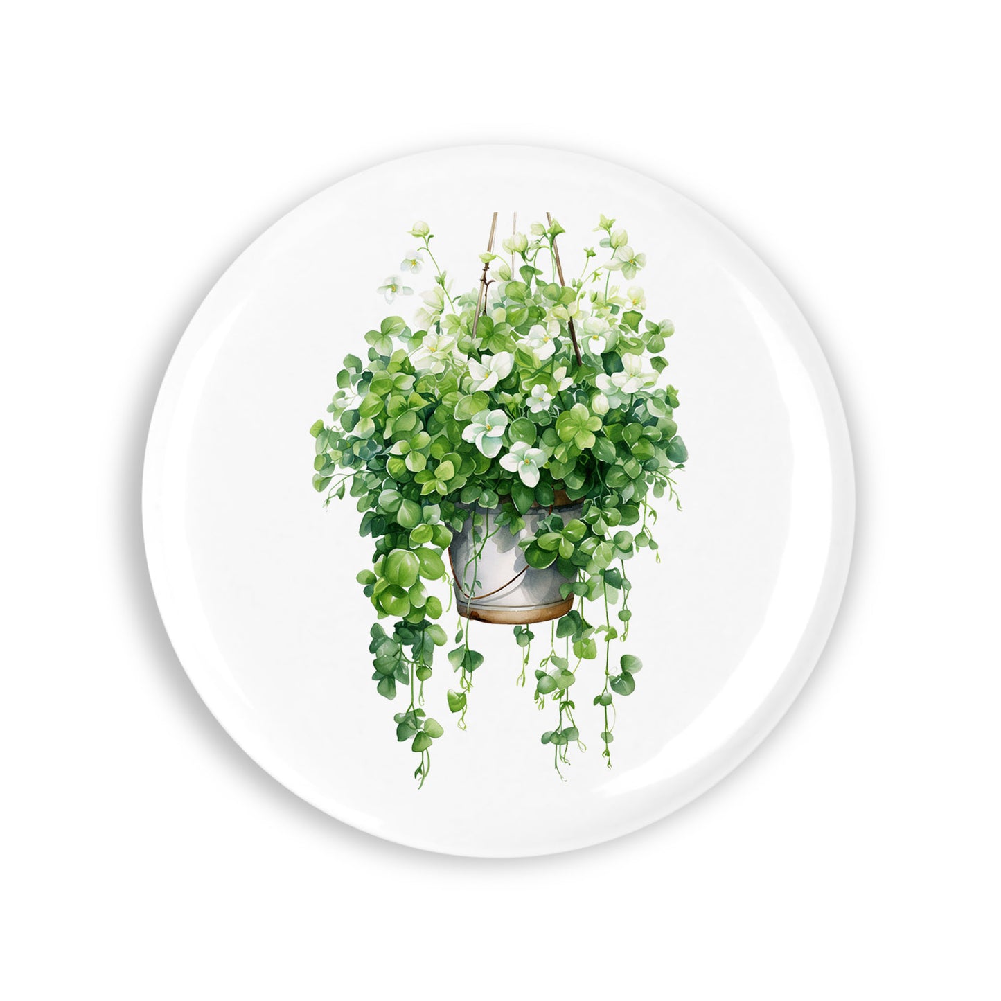 6b6d9d243f856cc50553428581781430