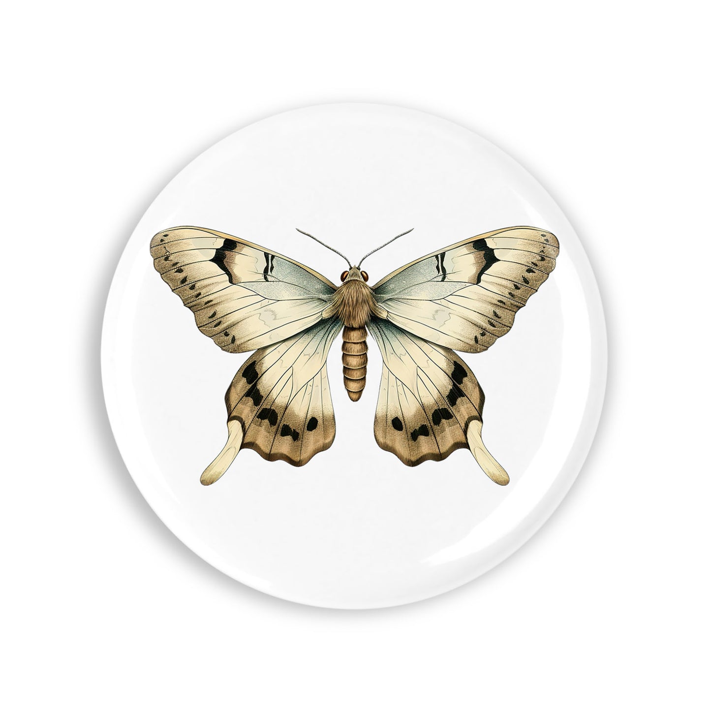 f0784325d9bc53932a6feeb90e3605c7