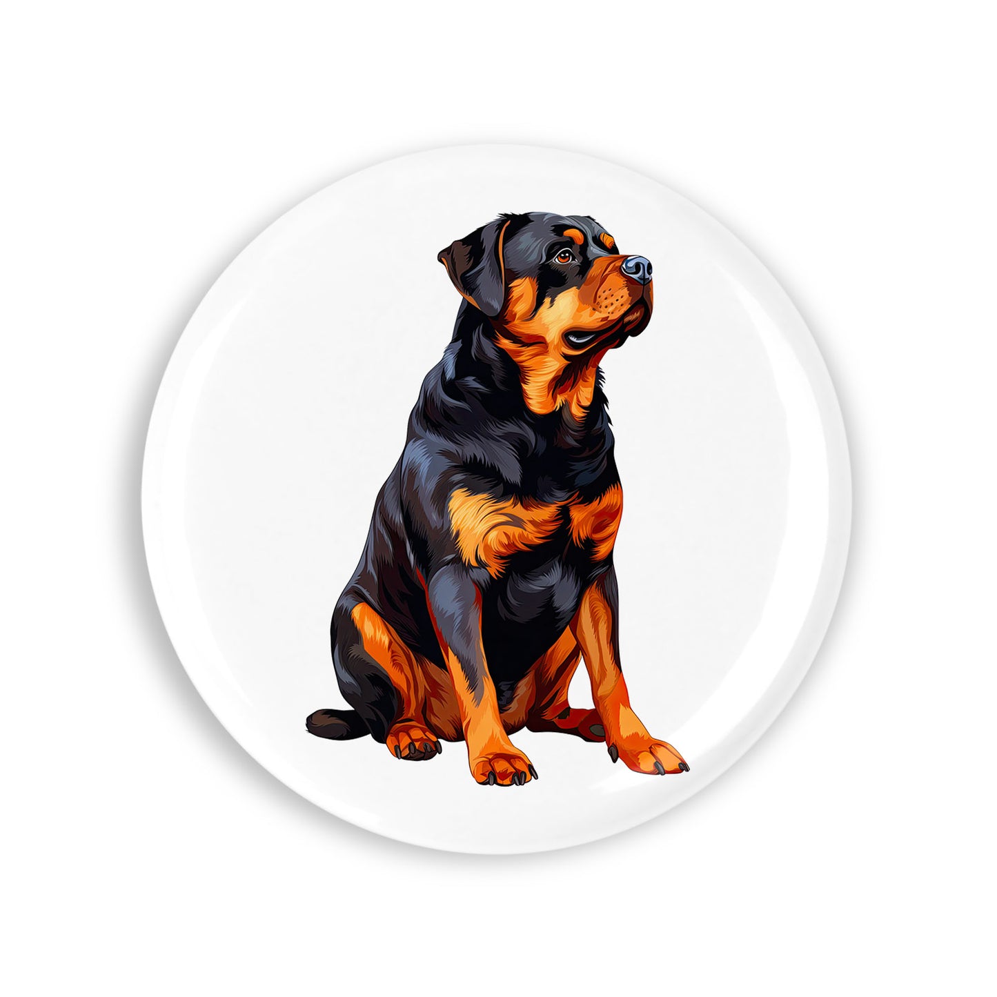 eccca43e019a0781711fe669be4b12bb