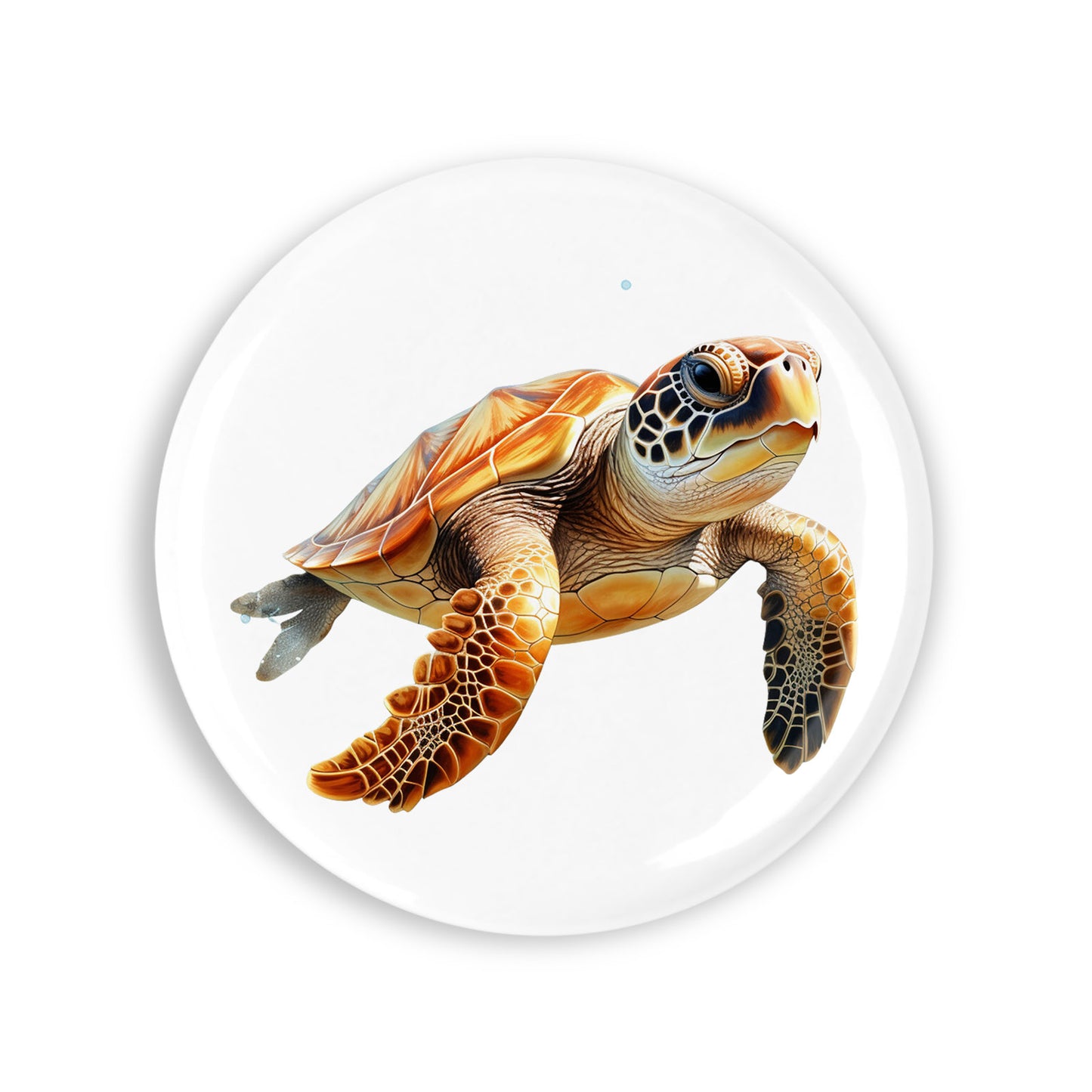 9fc2a8c5919e7e4e0fab7671754b16e0