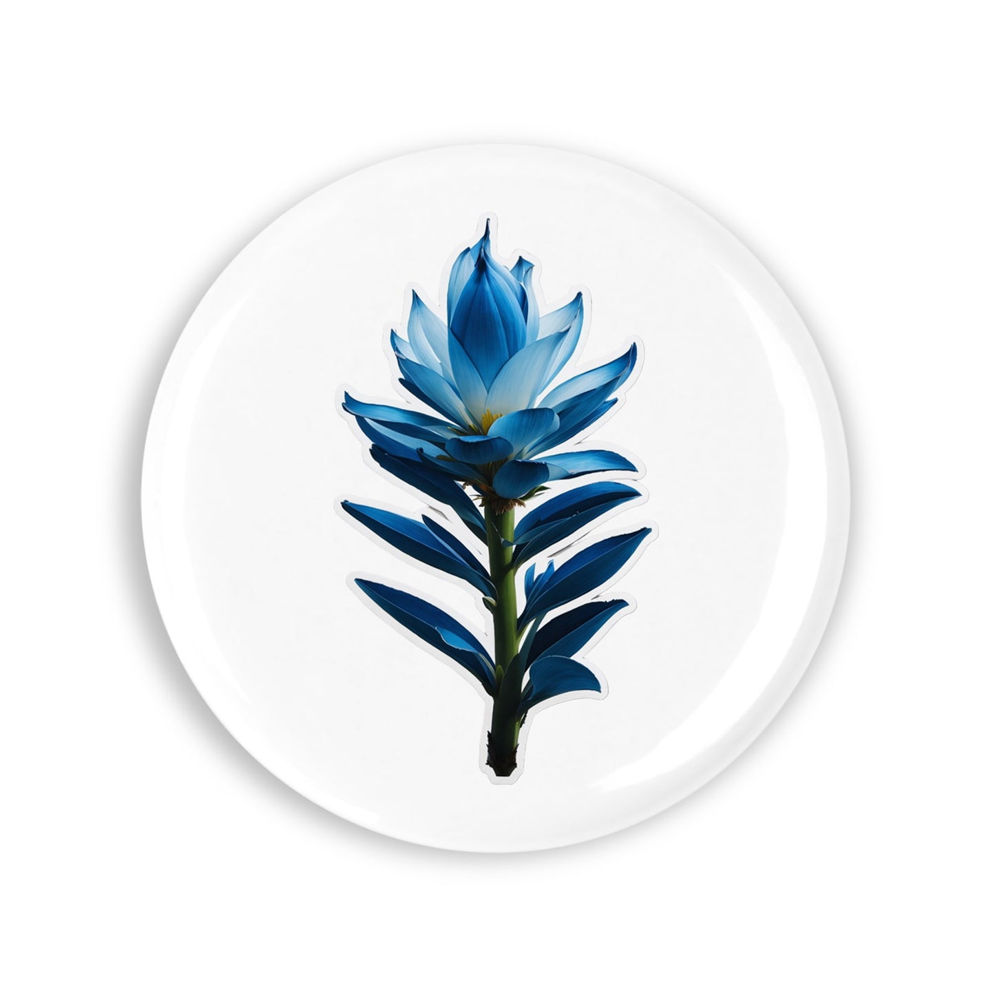 76492aeb44d70e518b84de462a70a4fc