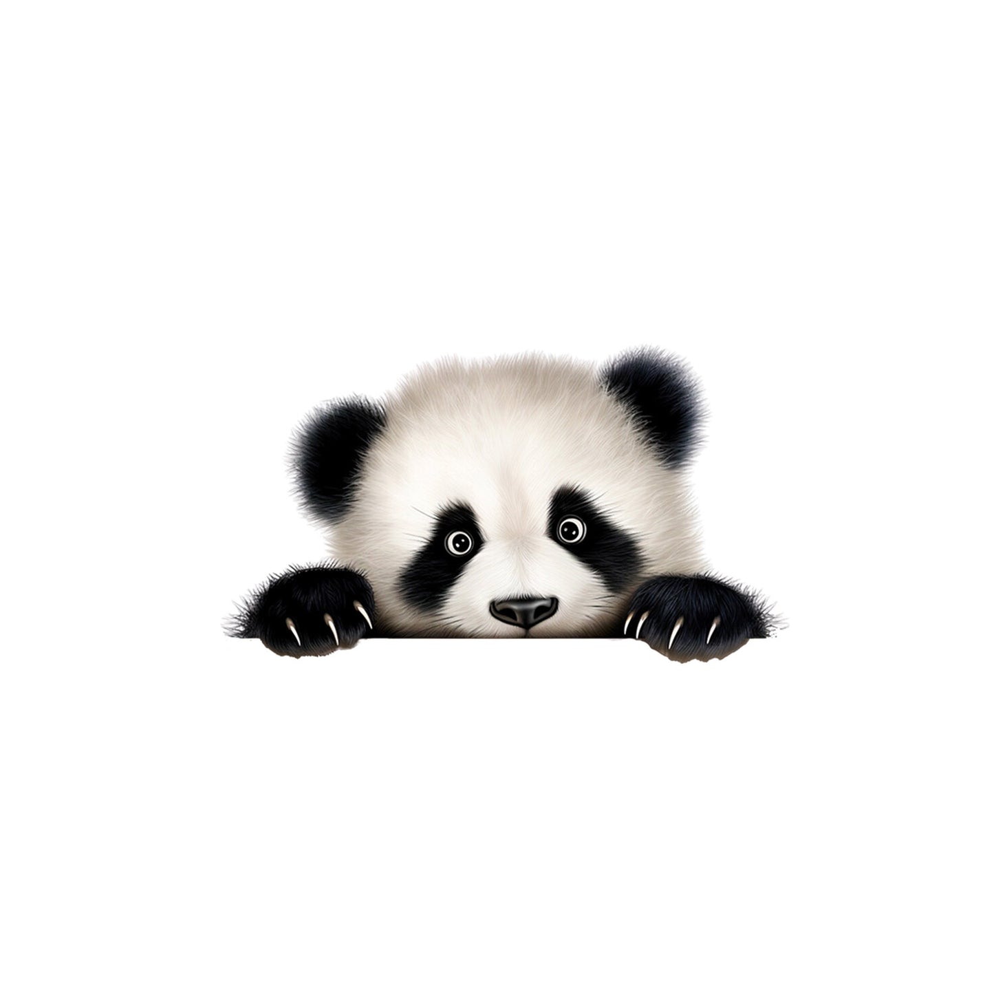 5a4cf45fd57dcf7bec9ebb028a46aef0