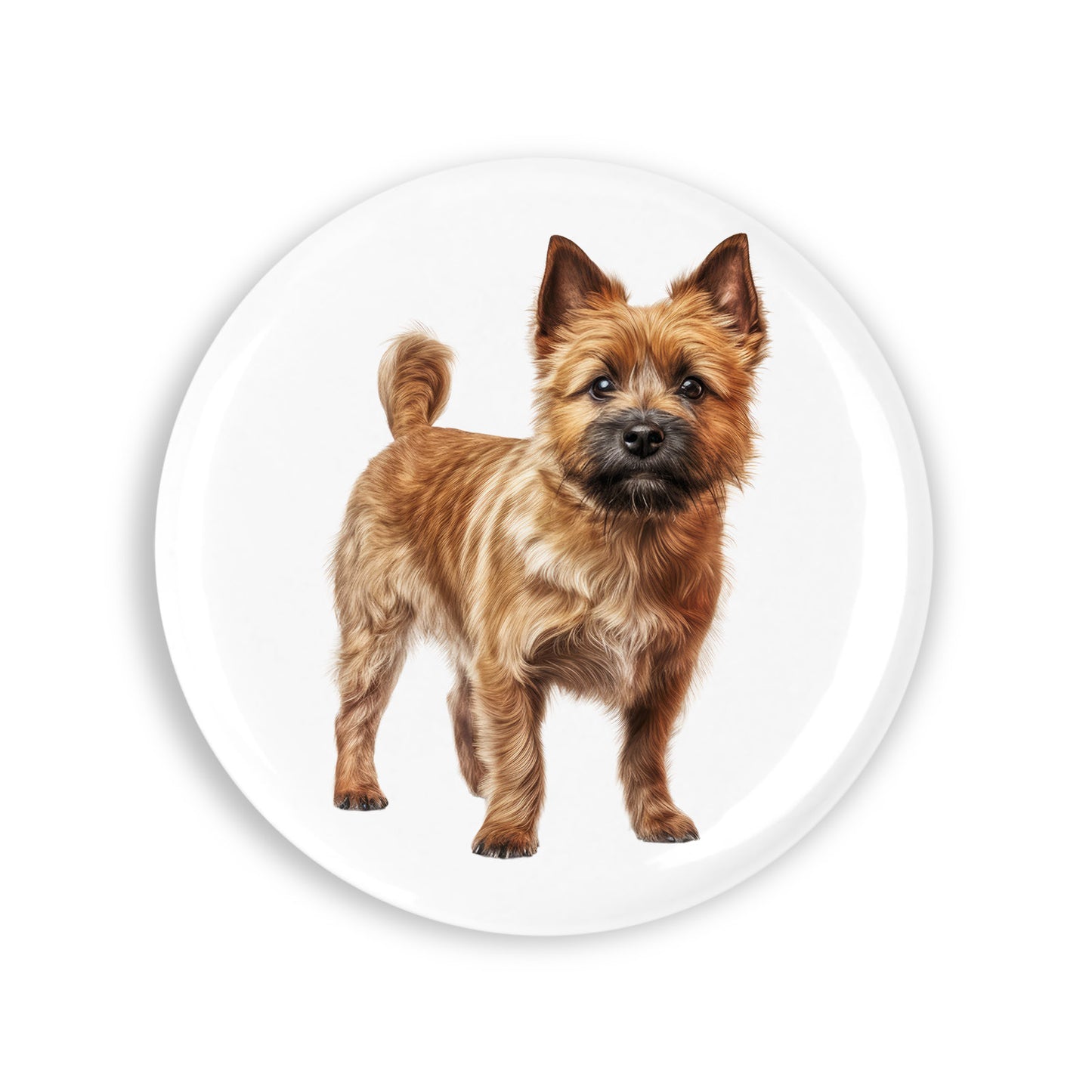 8031ca92f029de34a4952df1981595bf