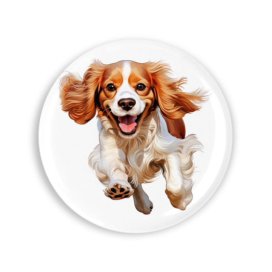 f037dab047eb5aa41edbd4af7b854608