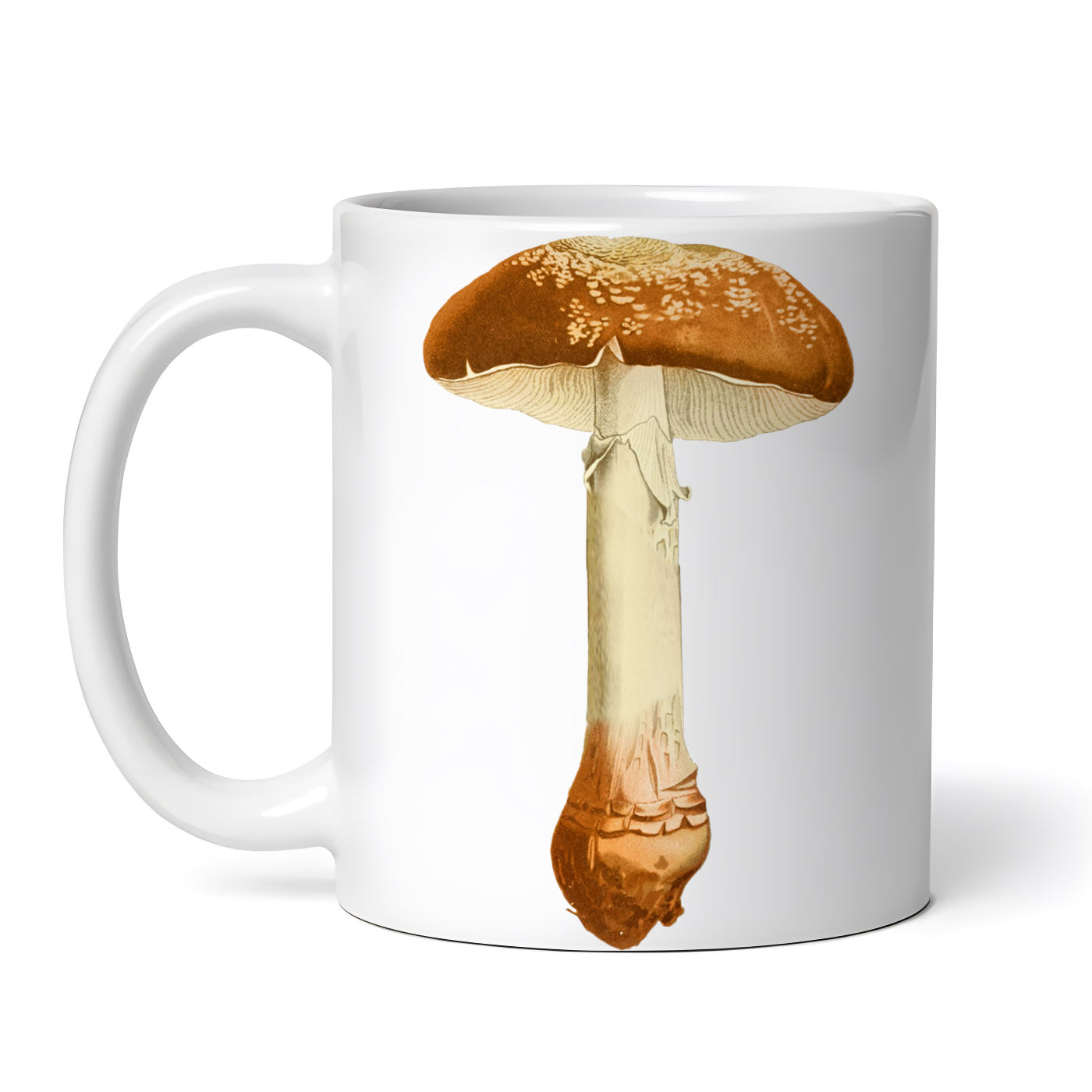 c3ef7ec48a0b468327b882b7358f9f36