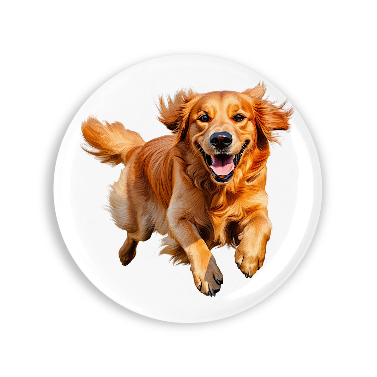 dc70049628957187295a94fcba955216