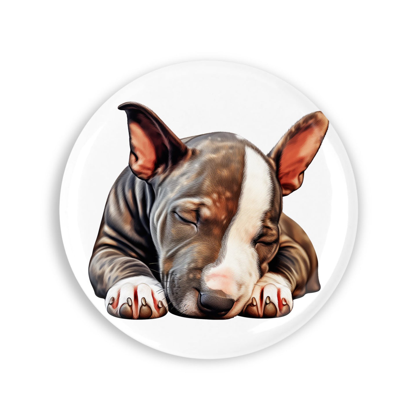 89e2b5b96081d16a2455c8601b05515e