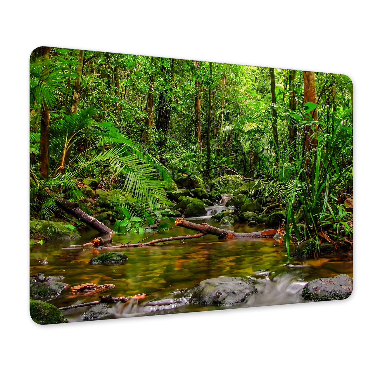 0875ea6dfdde09eae22f5efec7794305