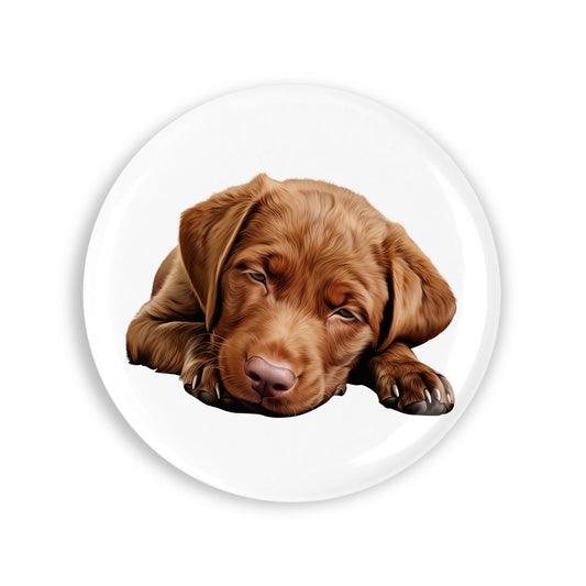 43db59e5d567ab90c182c1976efeba98