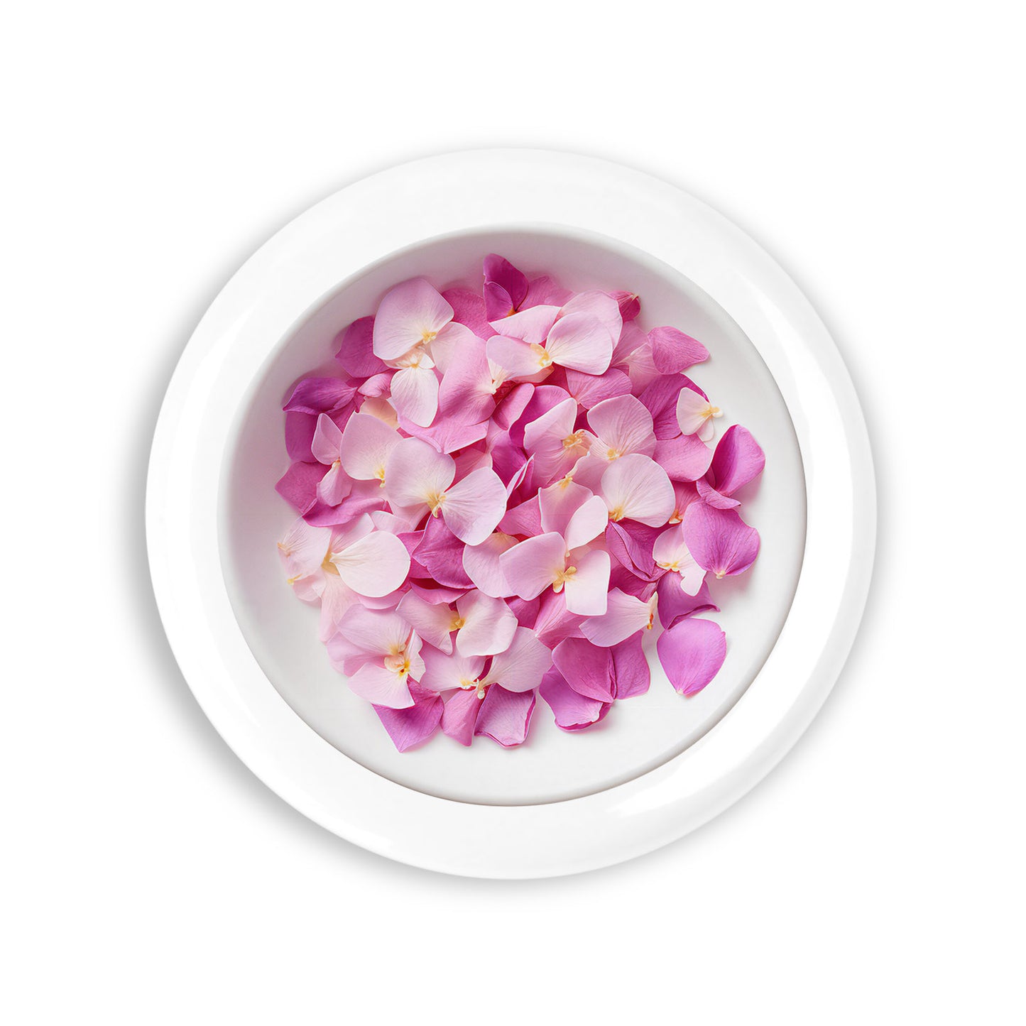 96b23a5f95b39df73fe2e24069aa0771