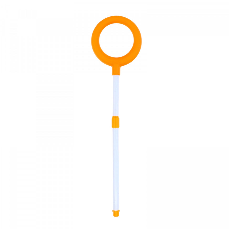 Jucarie pentru tras impins, pasarea vesela, Muzica si suntele, Multicolor, 12 luni