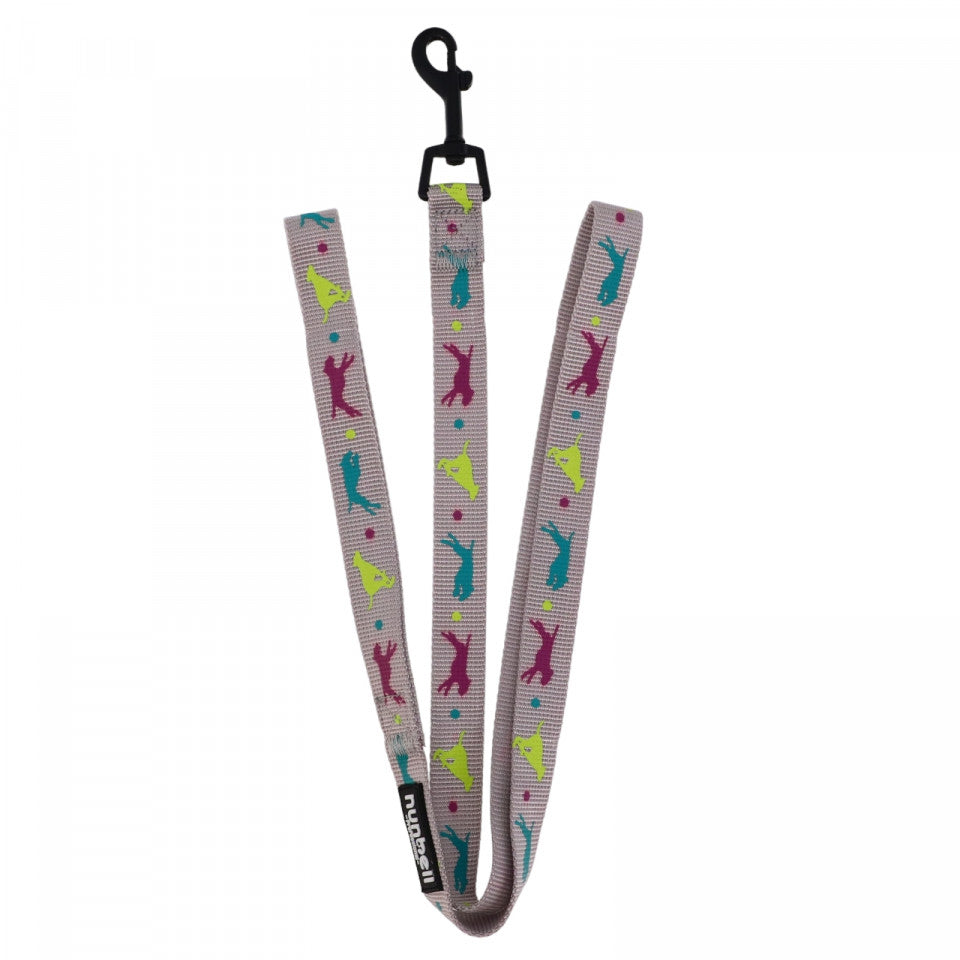 Lesa caine, NO69, 12 cm, Gri