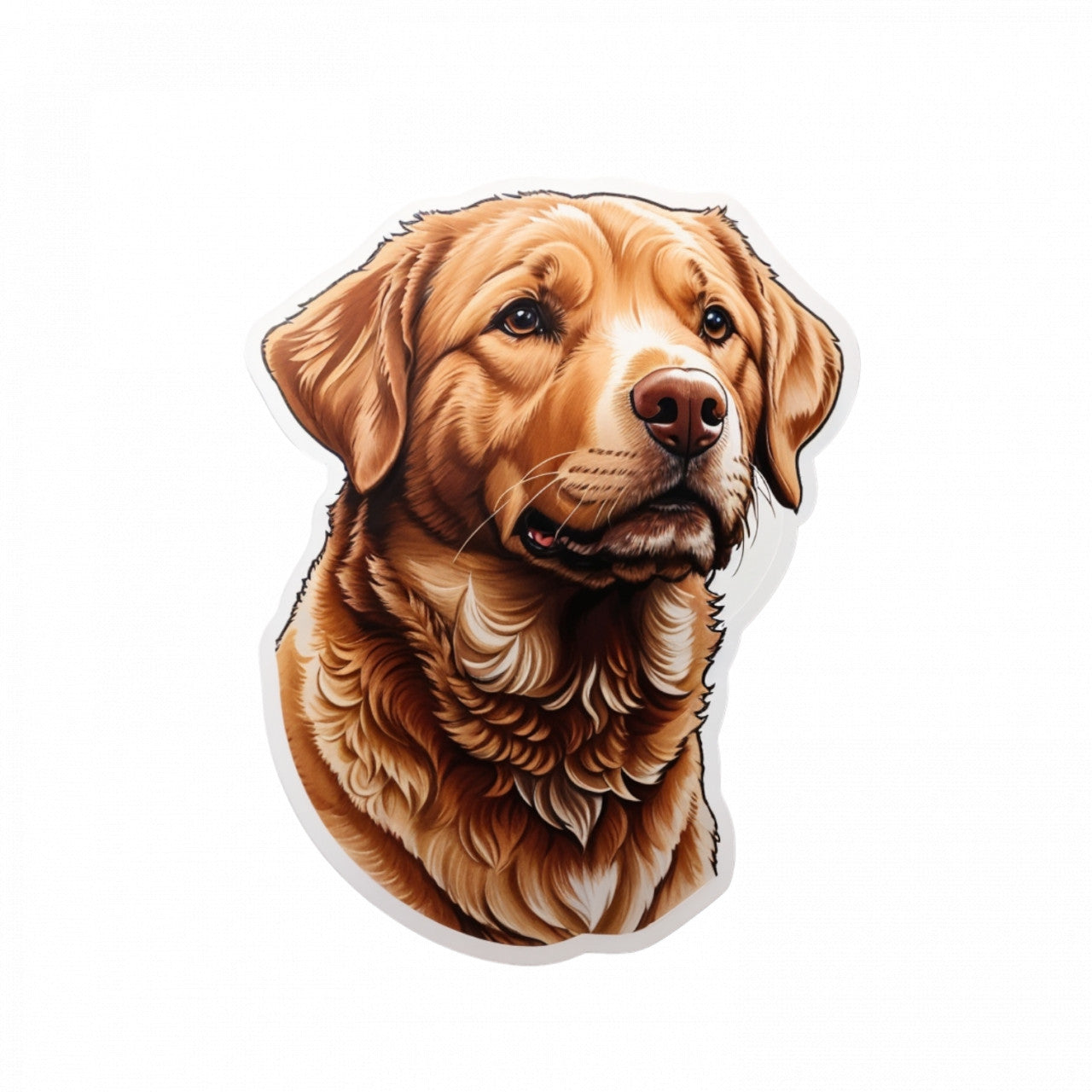 Set 3 bucati, Sticker decorativ, Caine Retriever chesapeake , Rezistent la apa, NO369, 6 cm, Multicolor