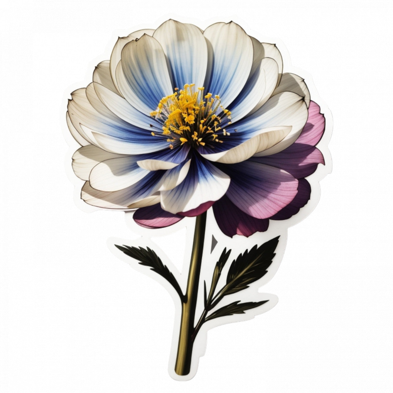 Set 3 bucati, Sticker decorativ, Floare de negrilica, Rezistent la apa, NO966, 6 cm, Multicolor