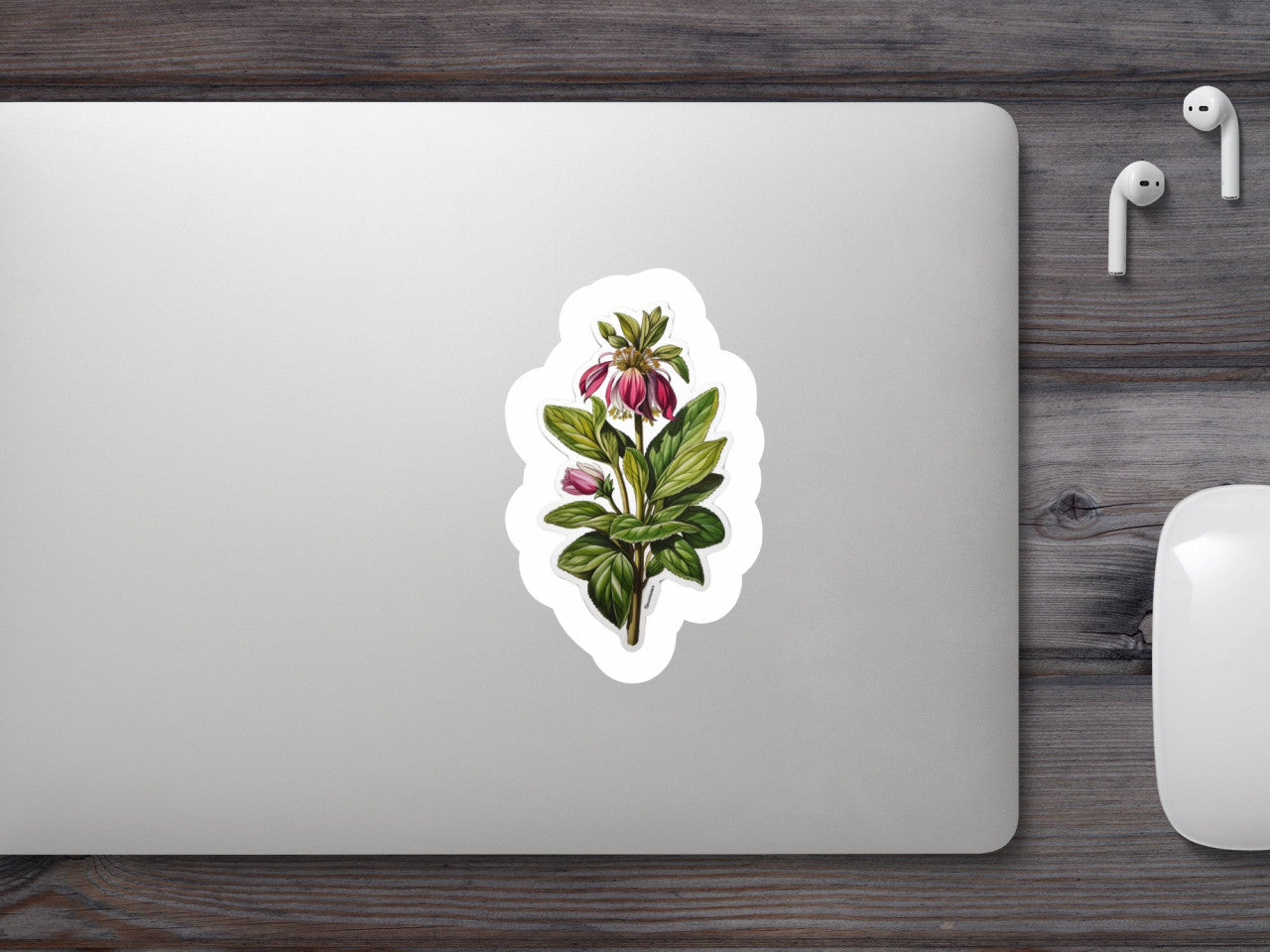 Set 3 bucati, Sticker decorativ, Tataneasa planta medicinala, Rezistent la apa, NO403, 6 cm, Multicolor