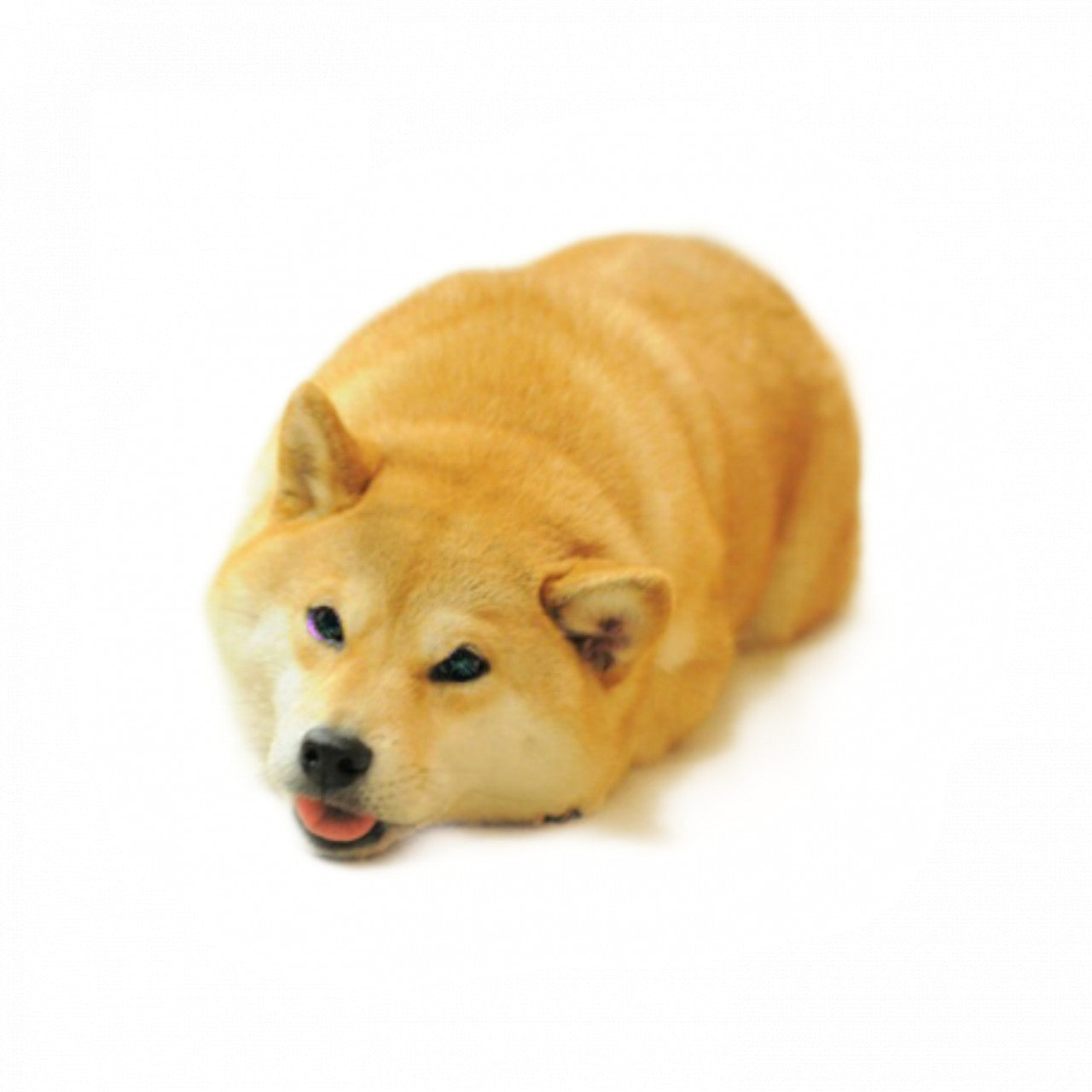 Set 4 bucati, Sticker decorativ, Meme Shiba Inu amuzant cu limba scoasa, Rezistent la apa, NO10059, 10 cm, Multicolor