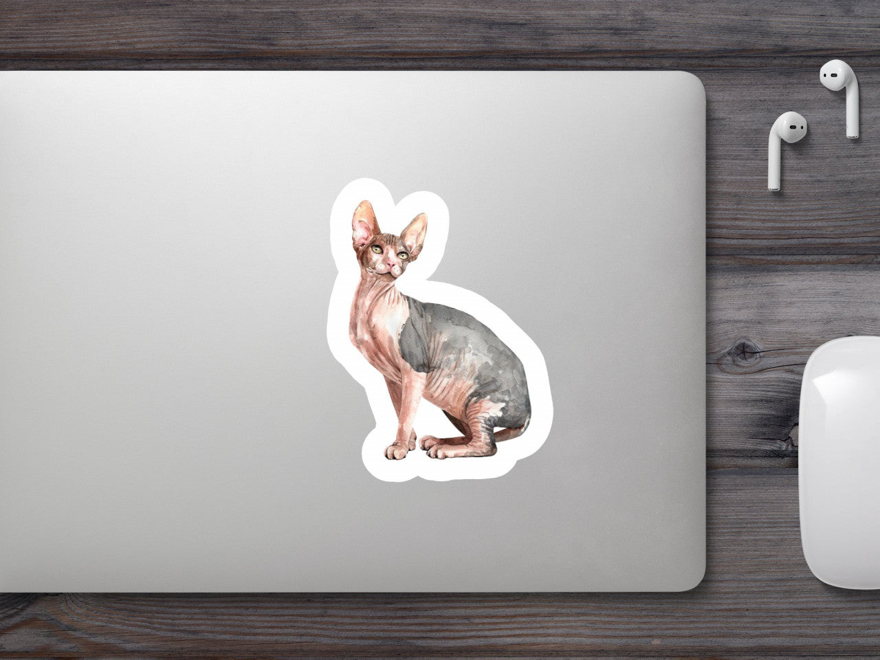 Set 4 bucati, Sticker decorativ, Pisica fara par si urechi lungi, Rezistent la apa, NO10217, 10 cm, Multicolor