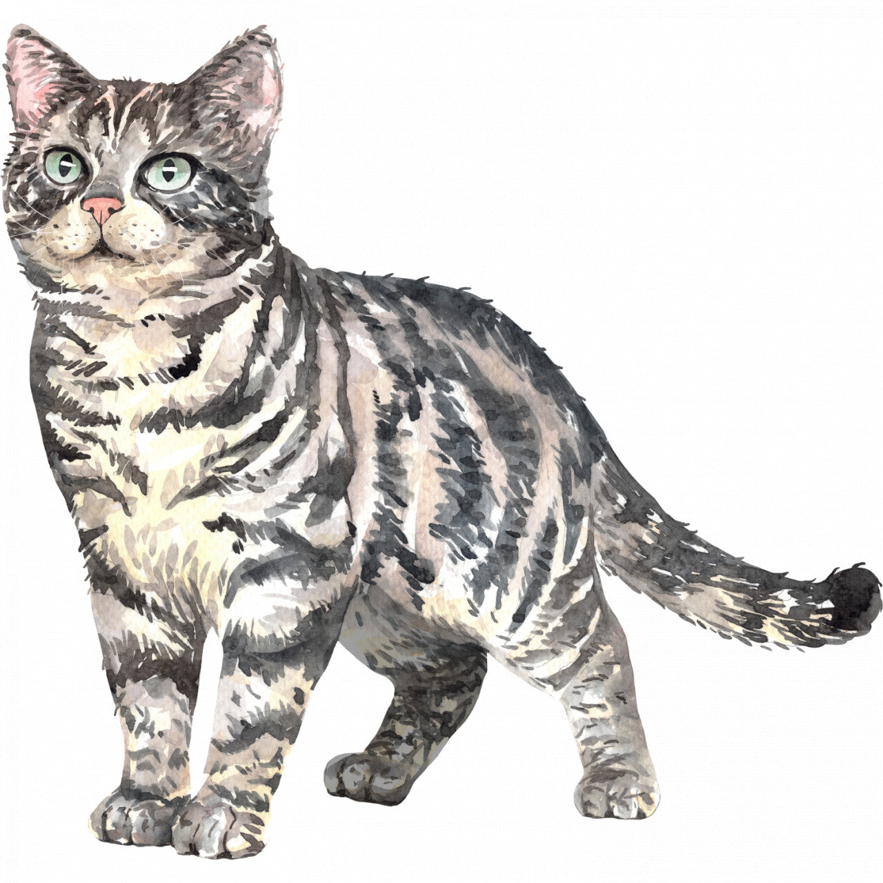 Set 4 bucati, Sticker decorativ, Pisica frumusica tarcata, Rezistent la apa, NO10220, 10 cm, Multicolor