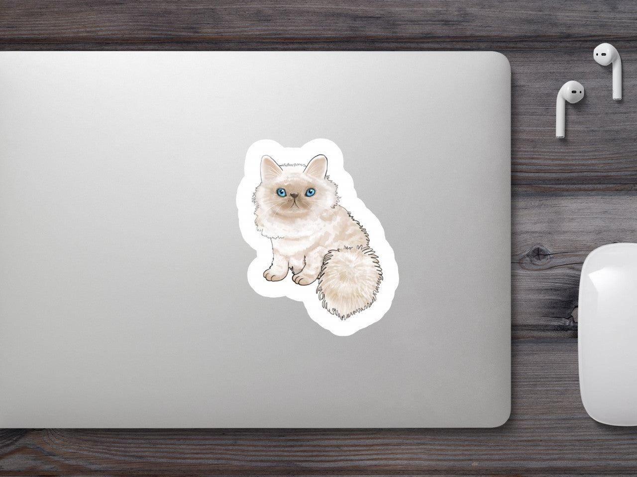 Set 4 bucati, Sticker decorativ, Pui de pisica stufoasa, Rezistent la apa, NO7739, 10 cm, Multicolor