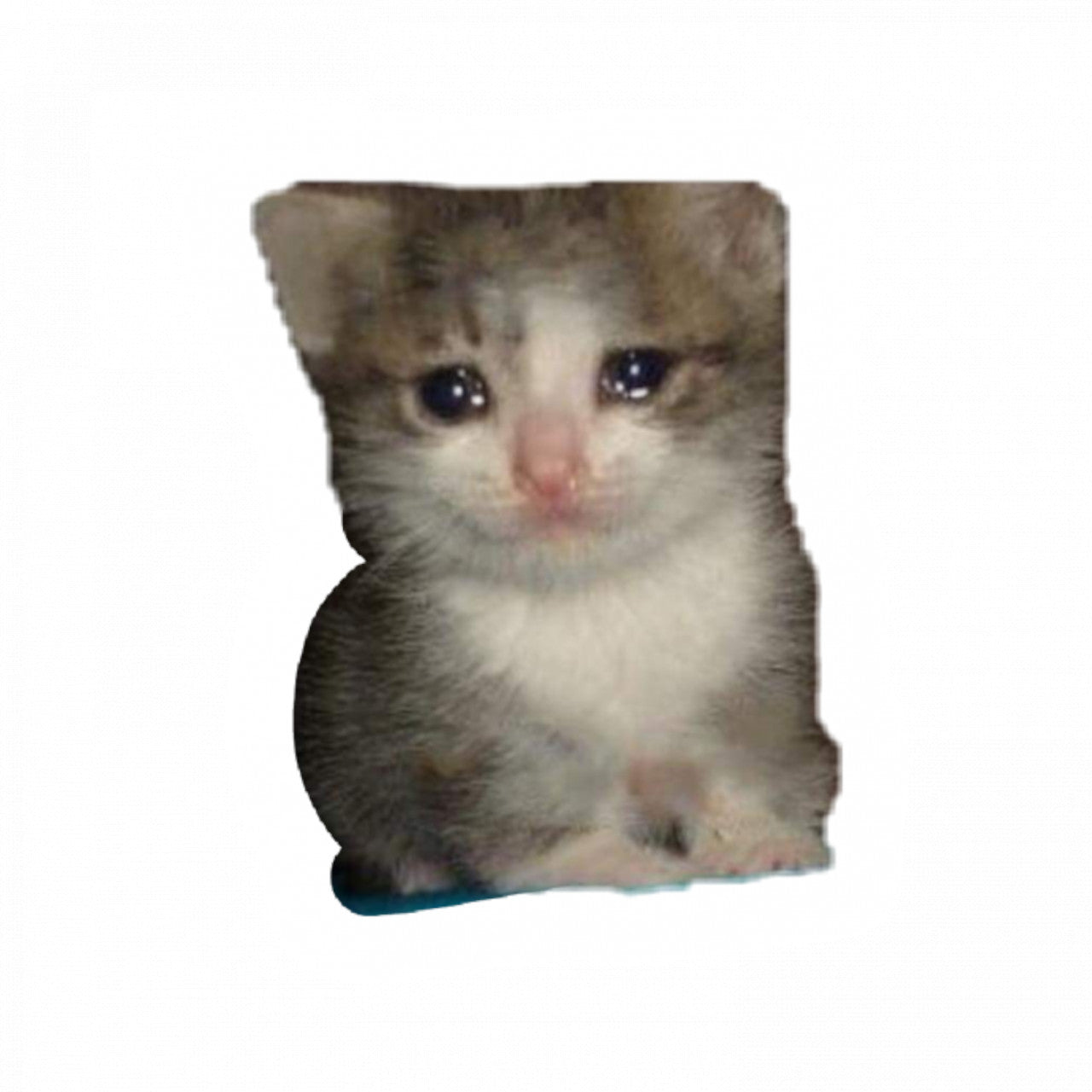 Set 5 bucati, Sticker decorativ, Meme Pisica care pl��nge, Rezistent la apa, NO10054, 6 cm, Multicolor