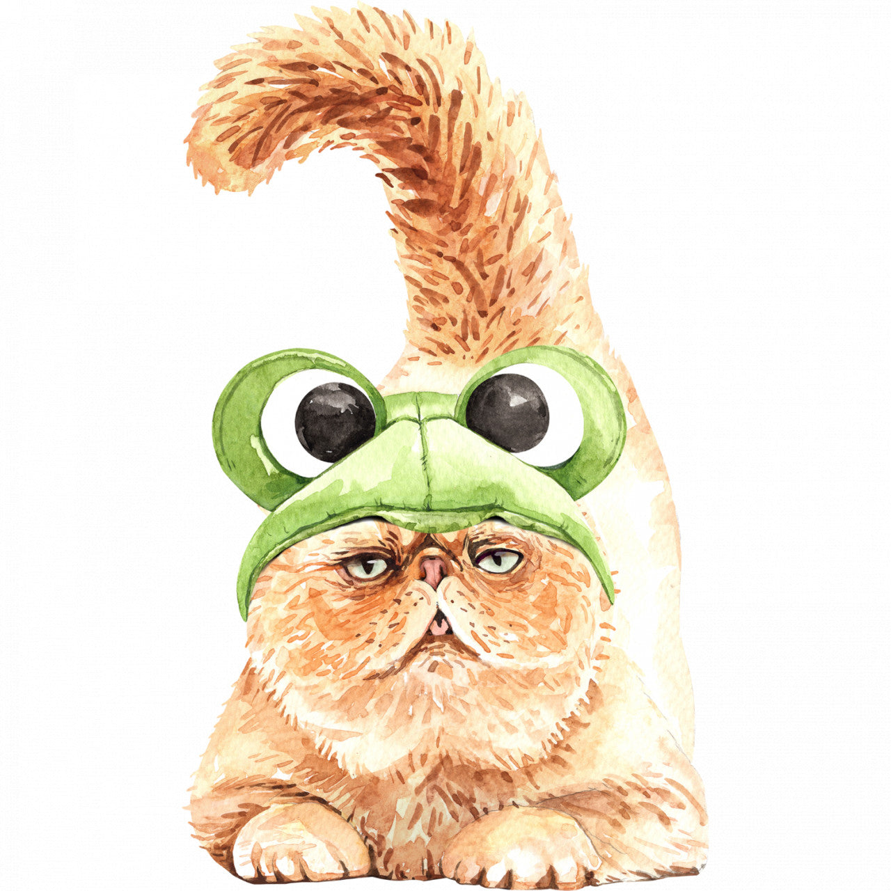 Set 5 bucati, Sticker decorativ, Pisica cu caciula broasca, Rezistent la apa, NO10188, 6 cm, Multicolor