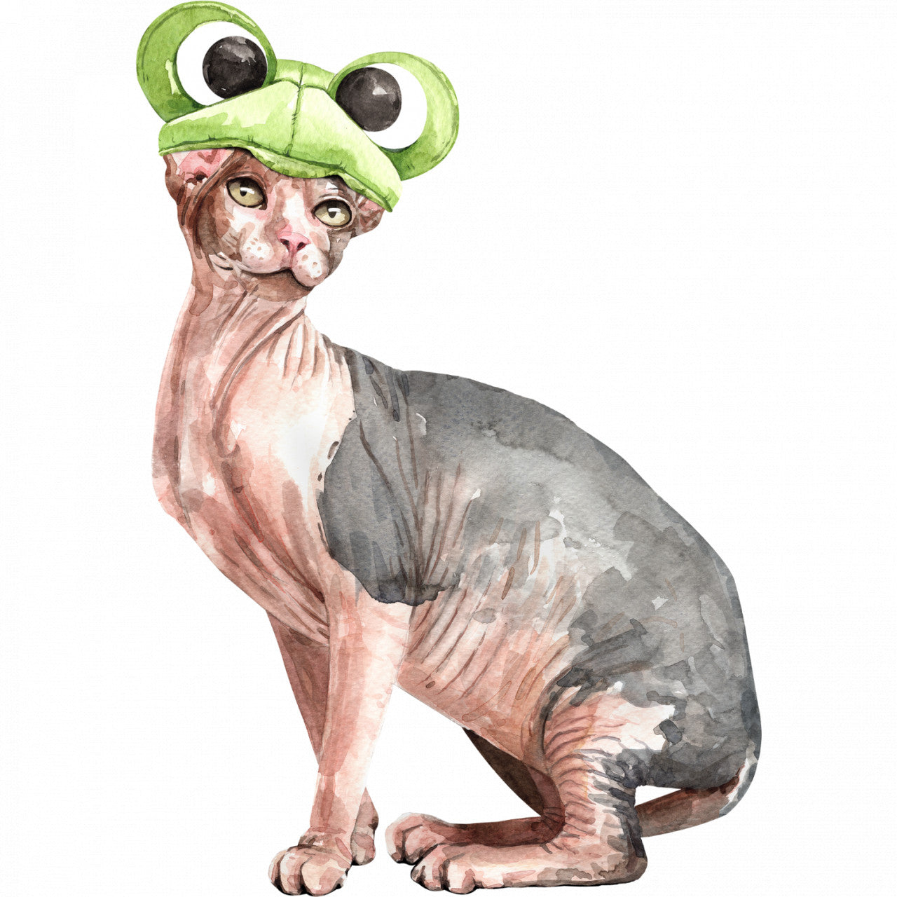 Set 5 bucati, Sticker decorativ, Pisica fara par cu caciula, Rezistent la apa, NO10216, 6 cm, Multicolor