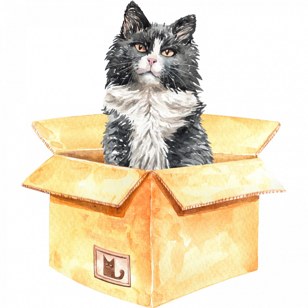 Set 5 bucati, Sticker decorativ, Pisica lui Schrodinger, Rezistent la apa, NO10239, 6 cm, Multicolor