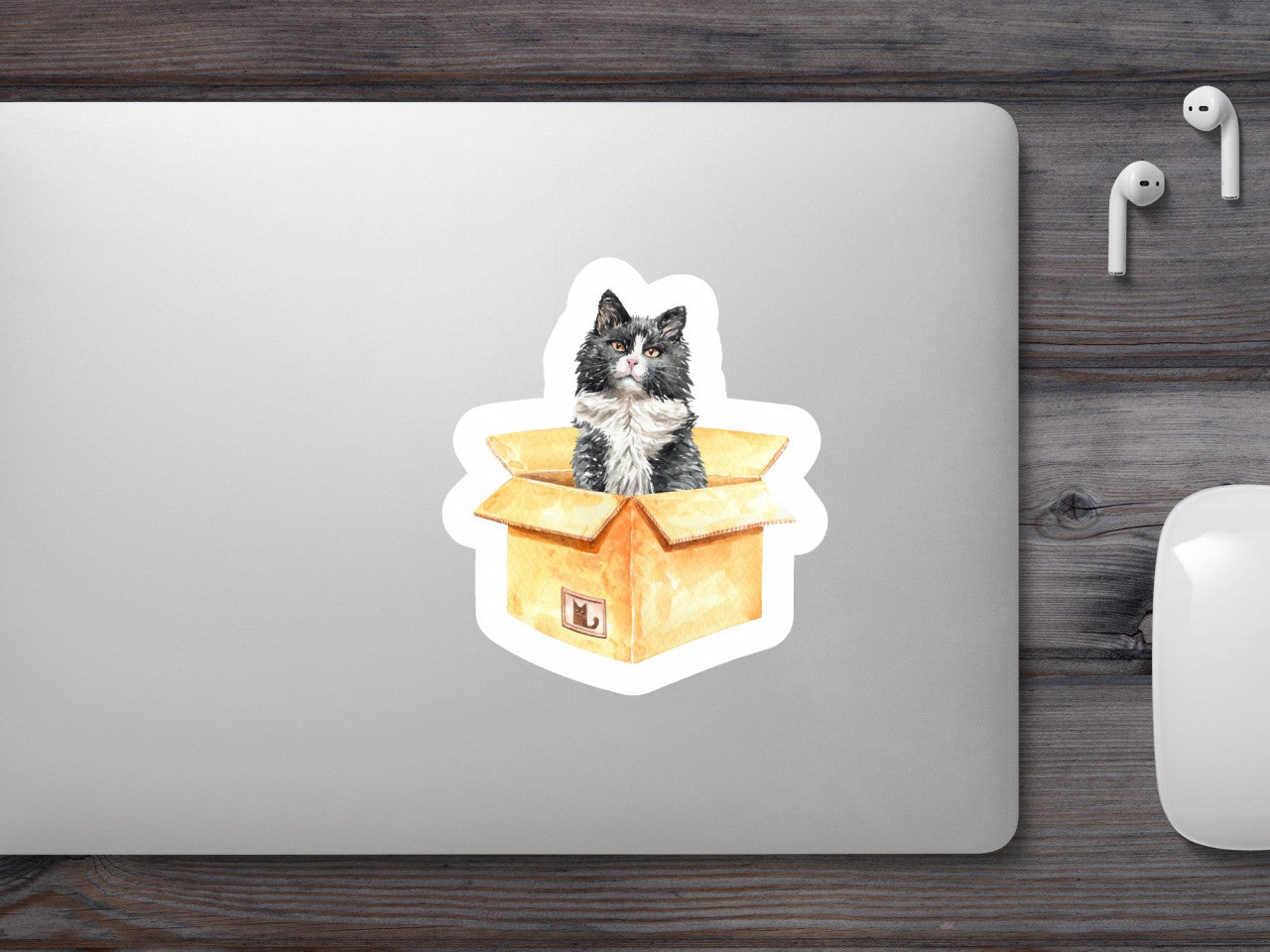 Set 5 bucati, Sticker decorativ, Pisica lui Schrodinger, Rezistent la apa, NO10239, 6 cm, Multicolor