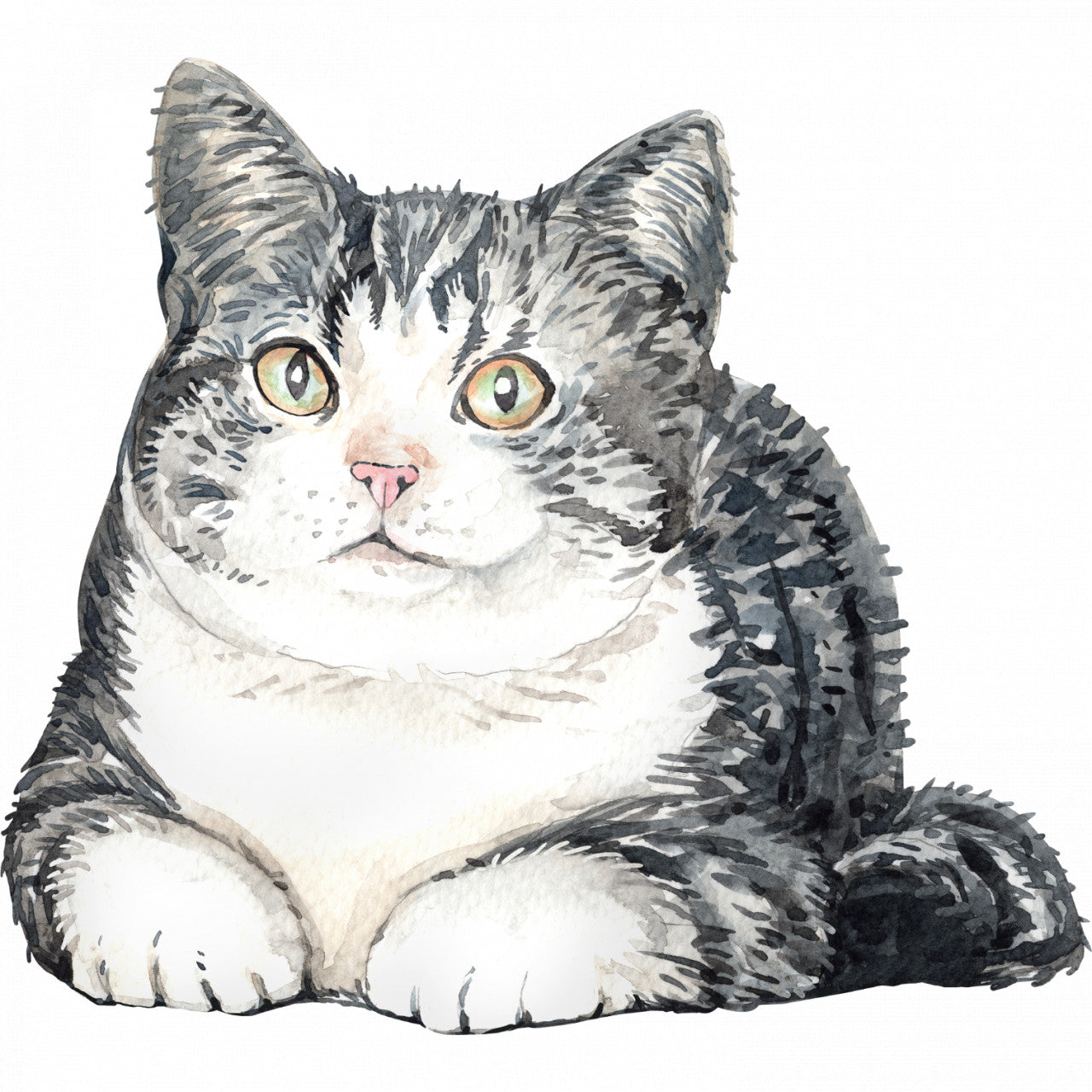 Set 5 bucati, Sticker decorativ, Pisica se odihneste pe jos, Rezistent la apa, NO10251, 6 cm, Multicolor