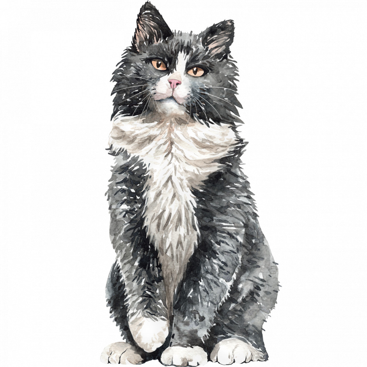 Set 5 bucati, Sticker decorativ, Pisica sta la poza, Rezistent la apa, NO10254, 6 cm, Multicolor