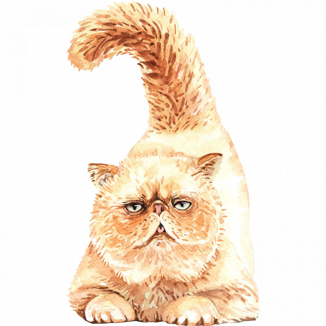 Set 5 bucati, Sticker decorativ, Pisica stufoasa cu coada in sus, Rezistent la apa, NO10255, 6 cm, Multicolor