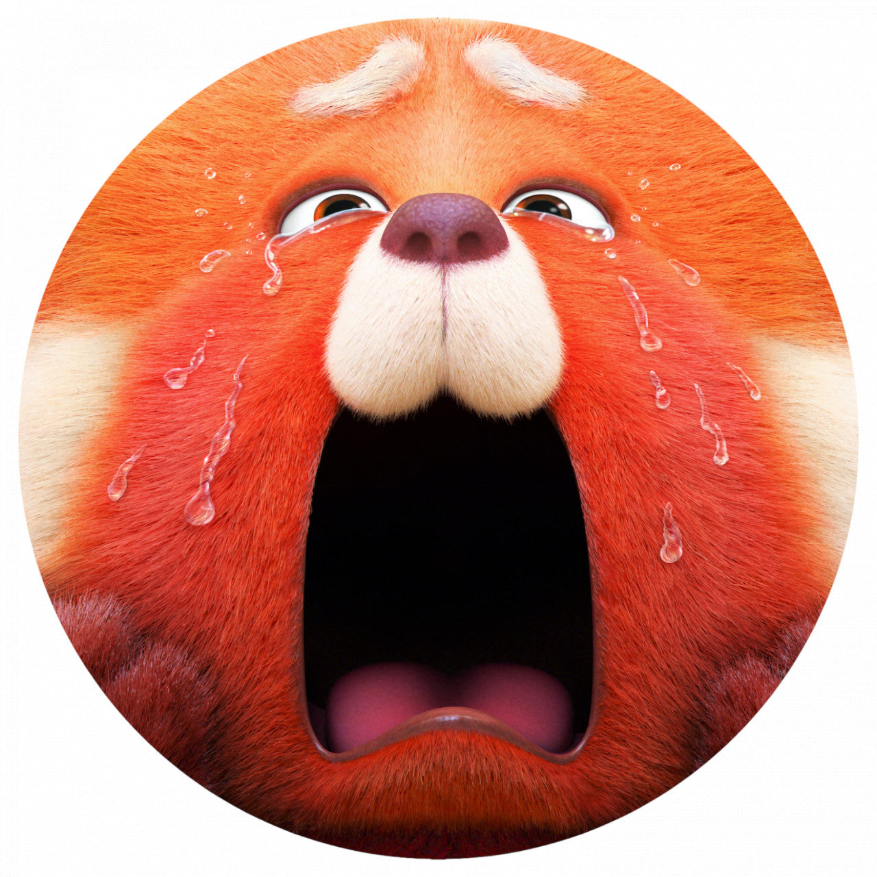 Set 5 bucati, Sticker decorativ, Turning Red Panda Mei plangand in hohote, Rezistent la apa, NO10223, 6 cm, Multicolor