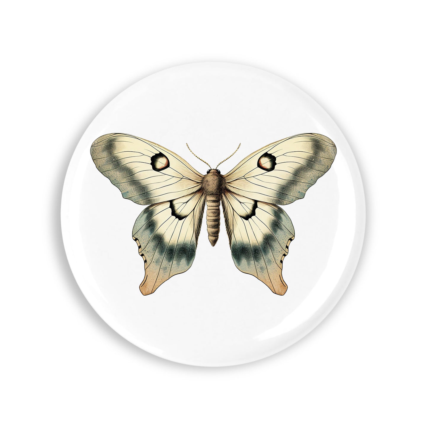 4a6f246ad2d0ae35f4a712d017422cb9