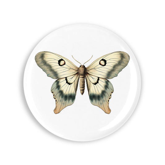 4a6f246ad2d0ae35f4a712d017422cb9