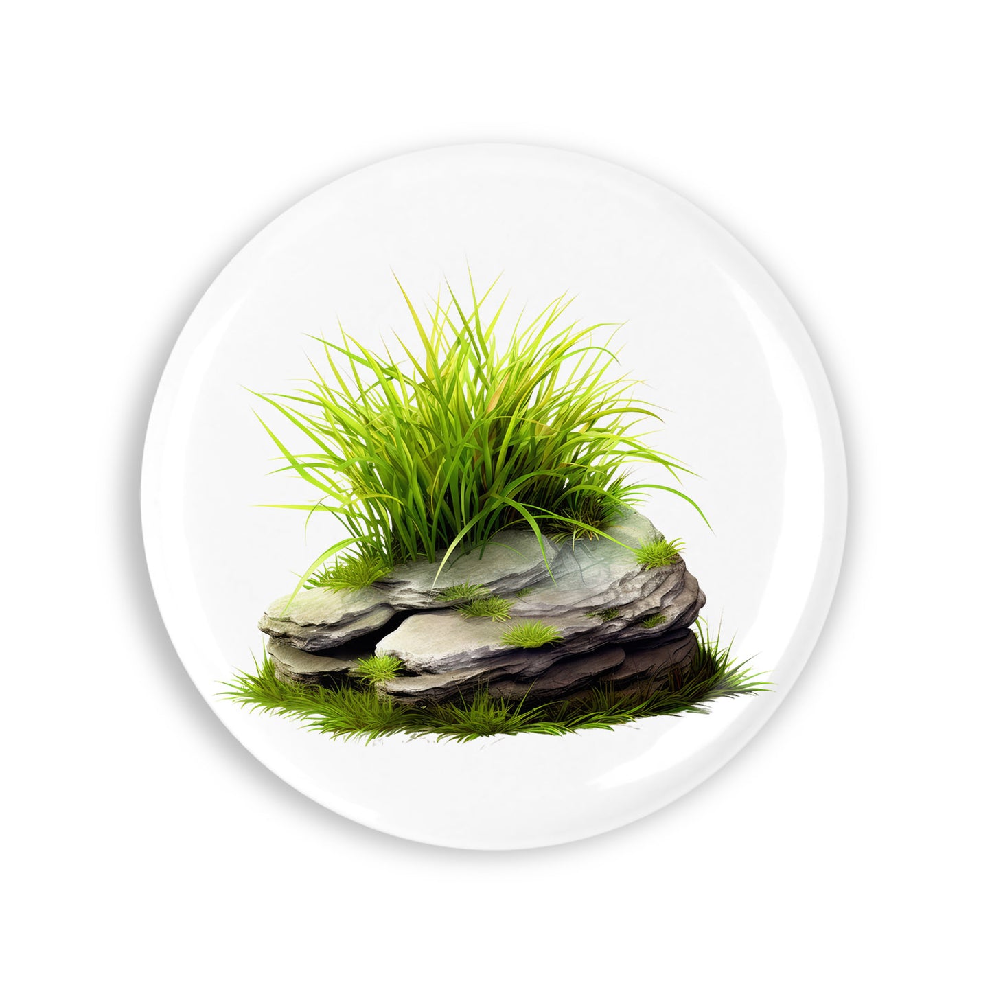 215e9d8a725a42bfbf76cda41888643a