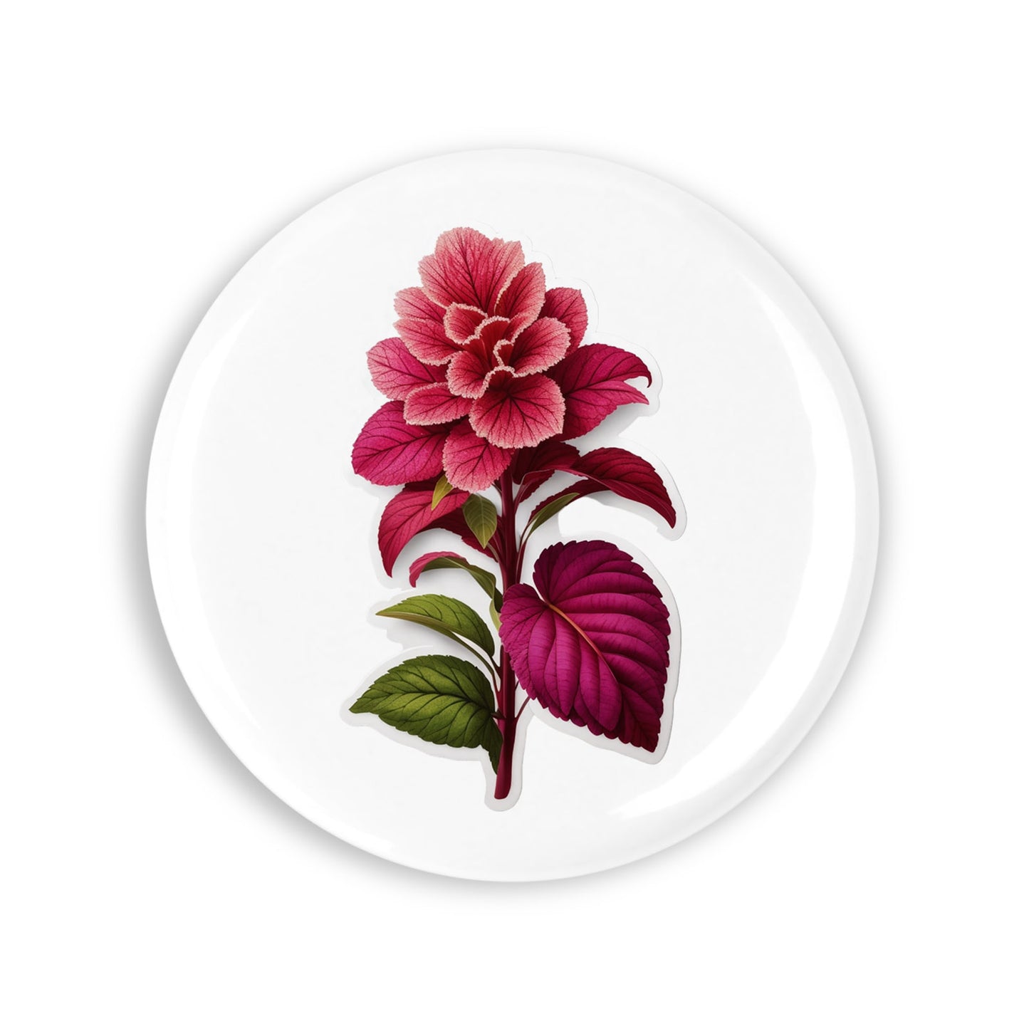 3ddbbd4dc3d2666f45e9fa66e1cd6a0e