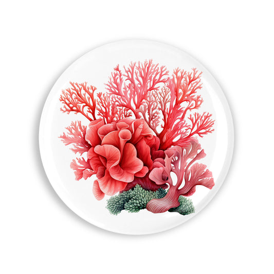 4c99b165a979dae37c44b170f1b2774d