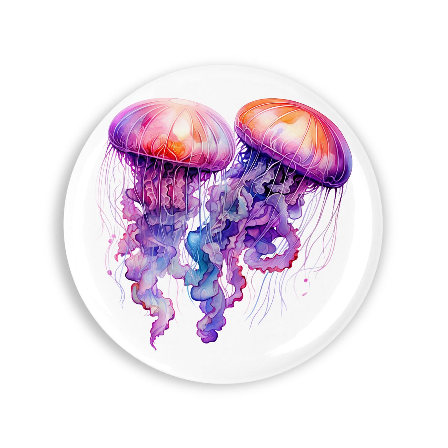 09958a51147cefcd364d6f84b7e7b505