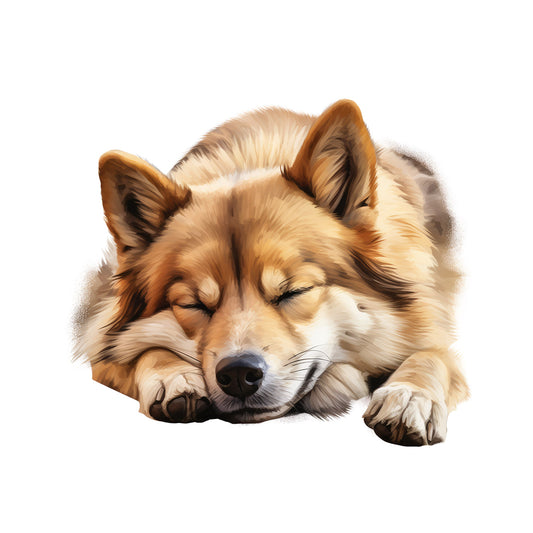 c28e7fd186fd3e30f9369e3db1bffa26